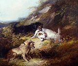George Armfield Terriers Rabbiting painting